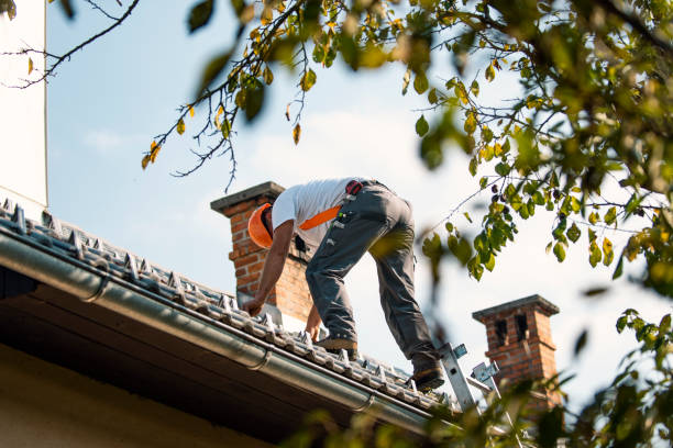 Best Roof Leak Repair  in Rainelle, WV