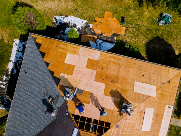 Best Local Roofing Companies  in Rainelle, WV