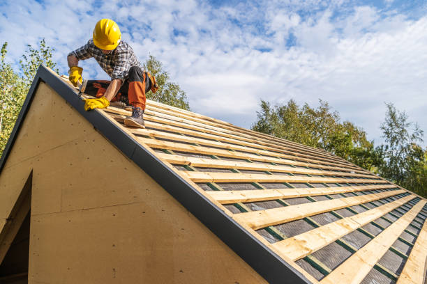 Best Residential Roof Replacement  in Rainelle, WV