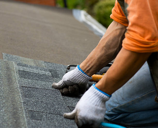 Best Roof Maintenance Services  in Rainelle, WV