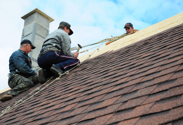 Best Best Roofing Contractors  in Rainelle, WV